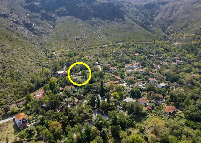 Suzana Μικρός Πρίνος